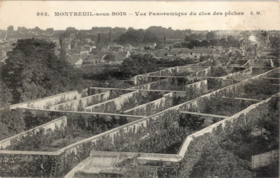1850 Les murs à pêches de Montreuil_Paleo_Energetique