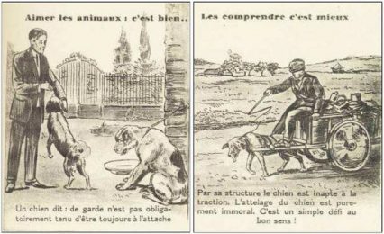 1850 La Fin de la zootechnie_Paleo_Energetique