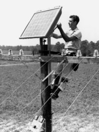 1956 Des cellules solaires produites à grande échelle_Paleo_Energetique
